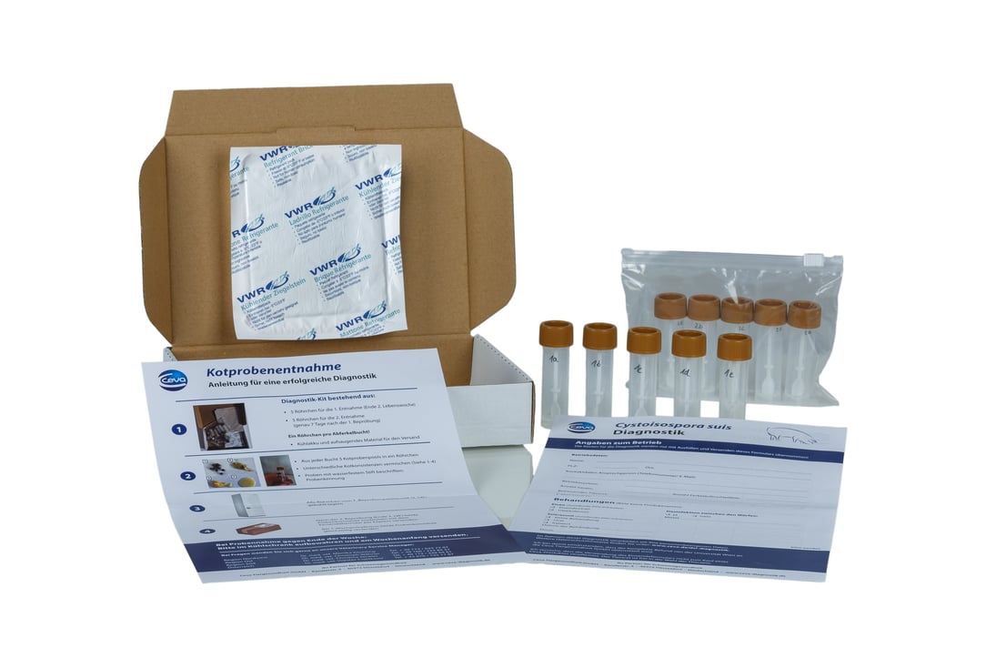 Wie wird die Kokzidiose diagnostiziert?